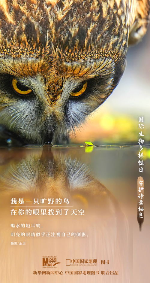 震撼大片來了 定格生物多樣性之美